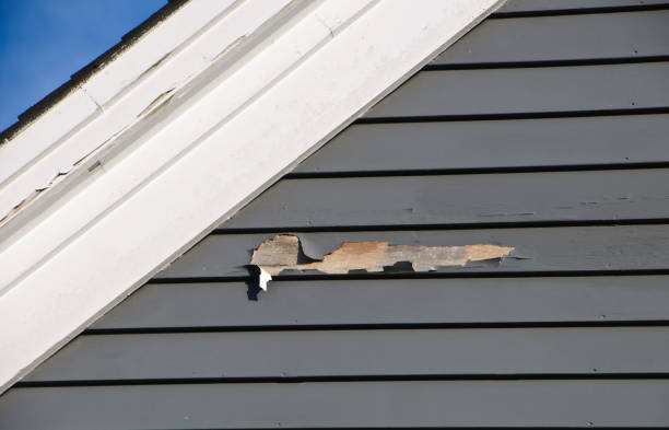 Best Same-Day Junk Removal Services  in Emsworth, PA